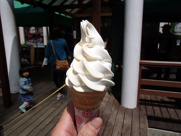 とうもろこしのソフトクリーム